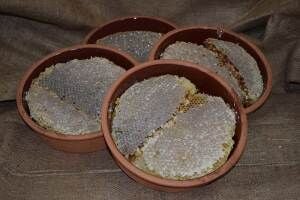 Karakovan Petek Balı – %100 Doğal, Katkısız ve Hakiki Kato Dağı Balı