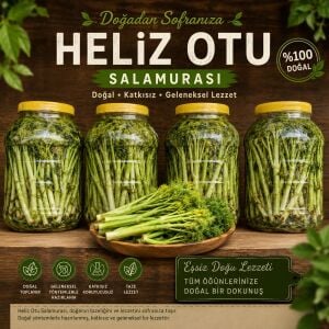 Heliz Otu salamura