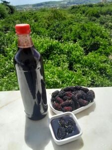 Karadut Şurubu